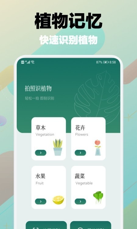 树林记忆 树林记忆
