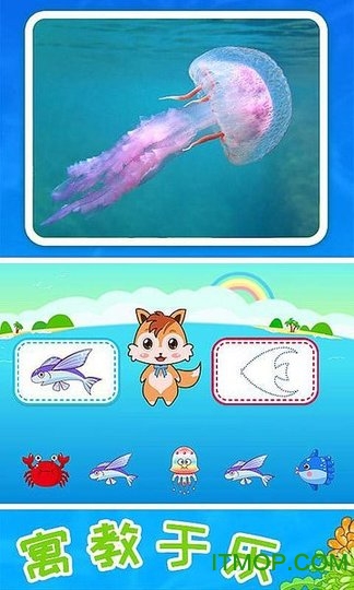 儿童宝宝海洋世界 儿童宝宝海洋世界