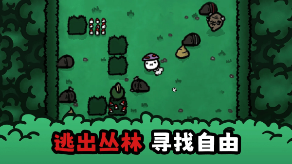 迷失的土豆
