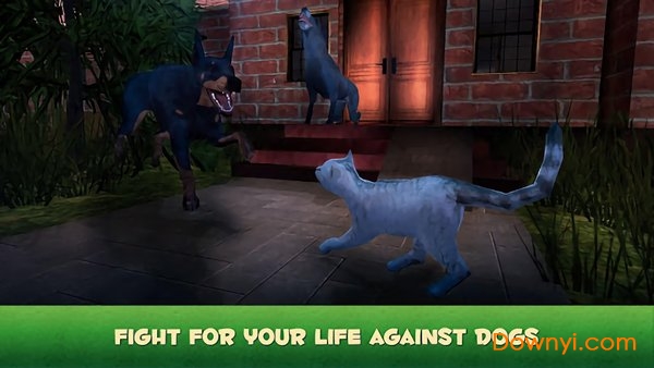 Home Cat Survival Simulator 3D