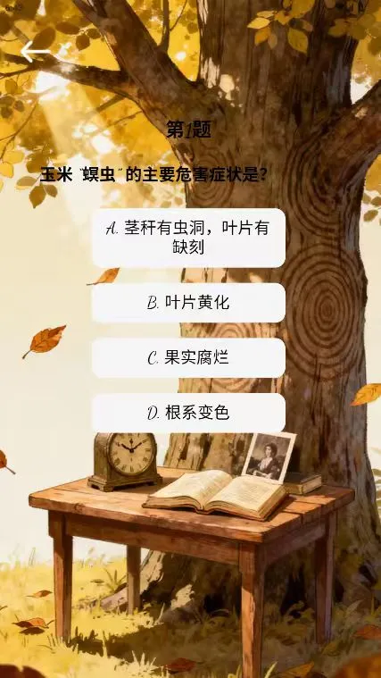 多多时光