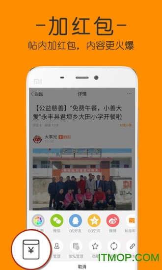 麦地网