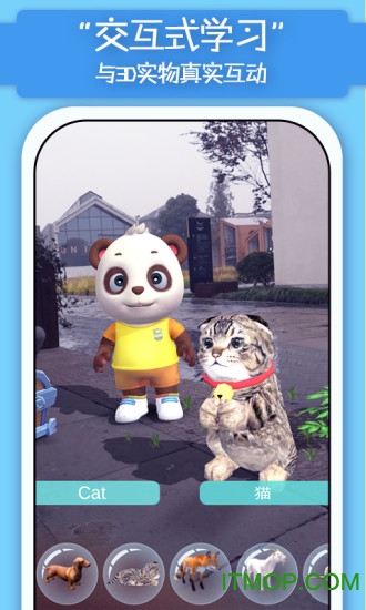 猫小智百科AR