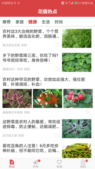花猫热点
