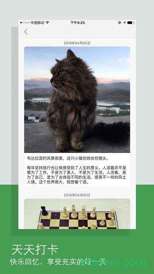 天天打卡