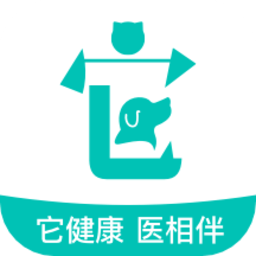 它来啦云医端