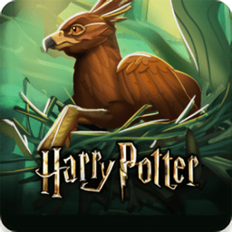 哈利波特霍格沃茨之谜免谷歌游戏(Harry Potter)
