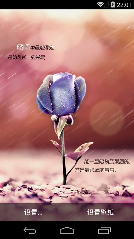 执子手等花开(唯美壁纸) 执子手等花开(唯美壁纸)