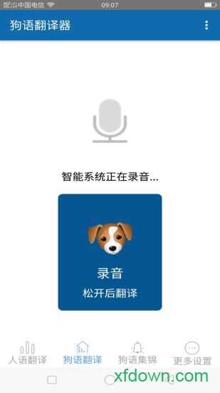 宠物狗狗翻译器 宠物狗狗翻译器