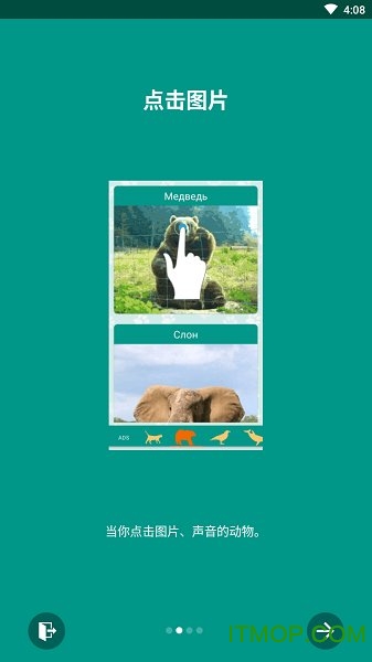 动物的声音app 动物的声音app