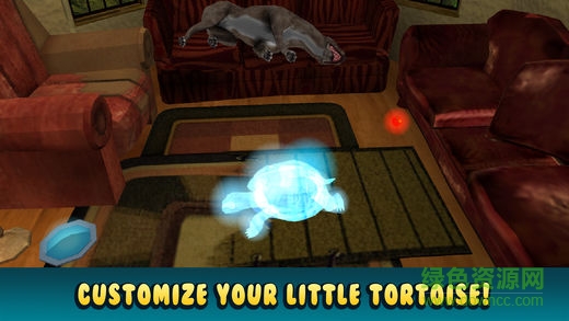 乌龟模拟器正式版 乌龟模拟器正式版