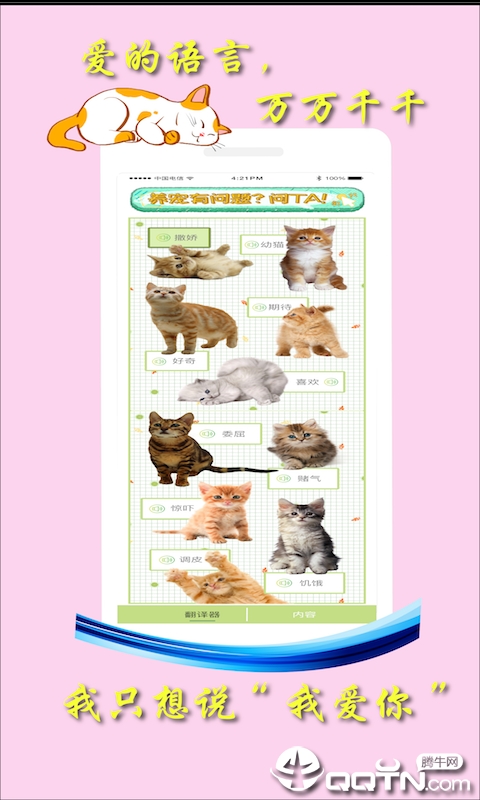 米族人猫交流器