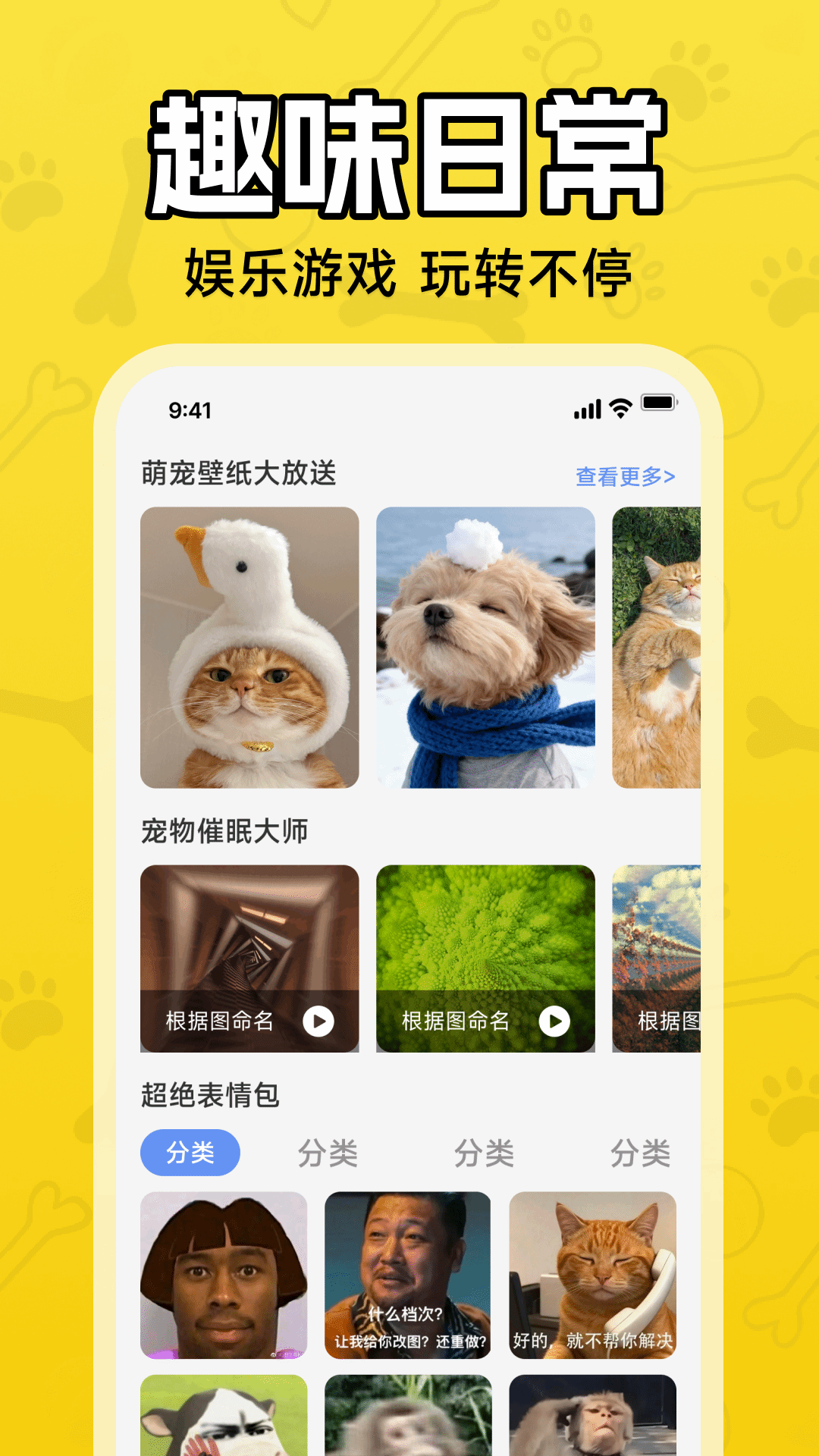 人猫狗翻译器