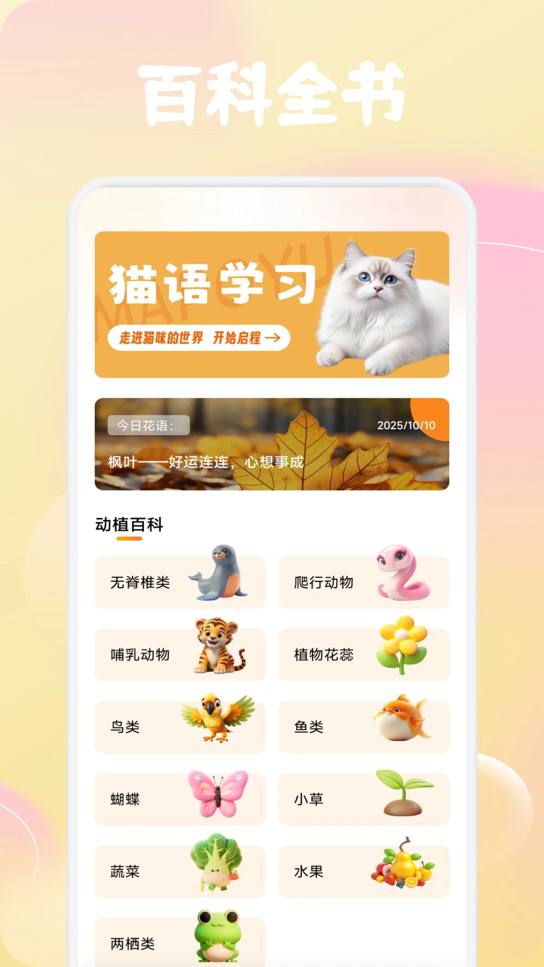橘小花