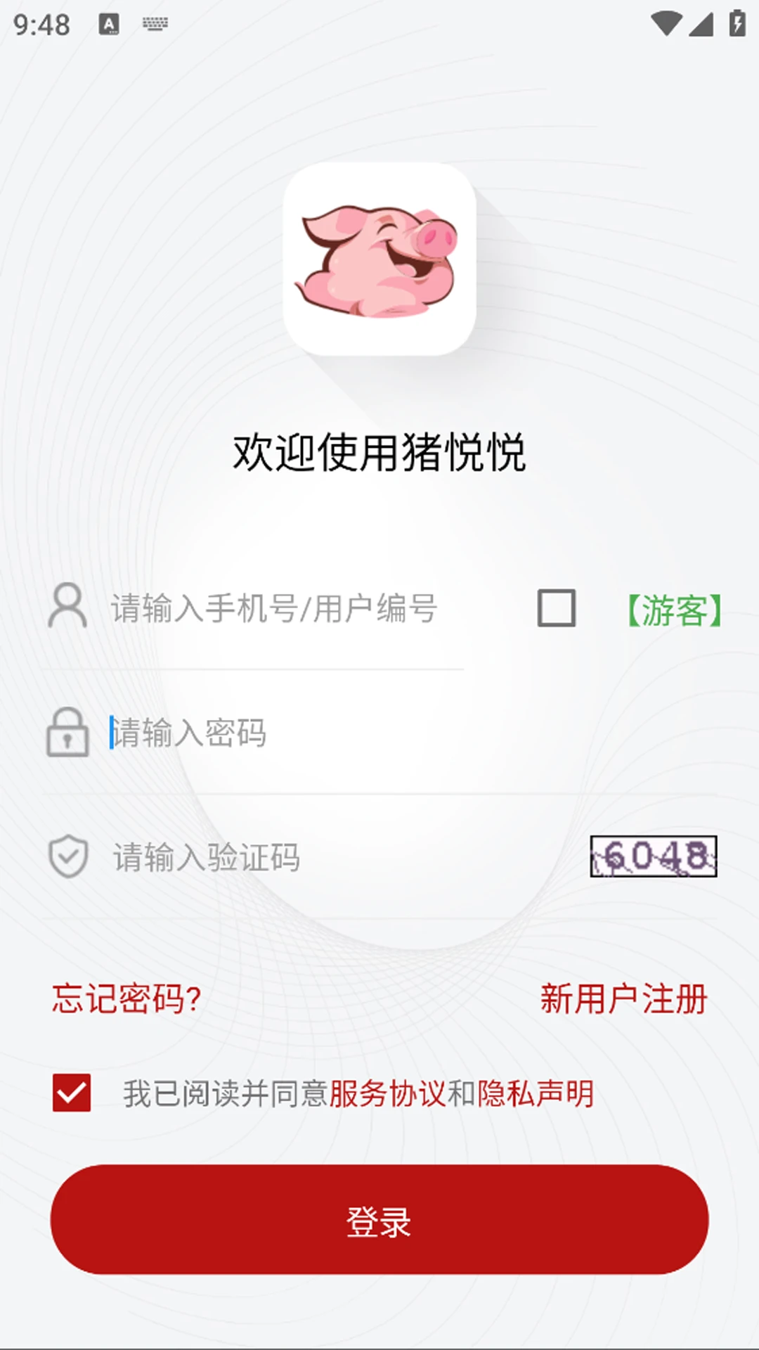 猪悦悦