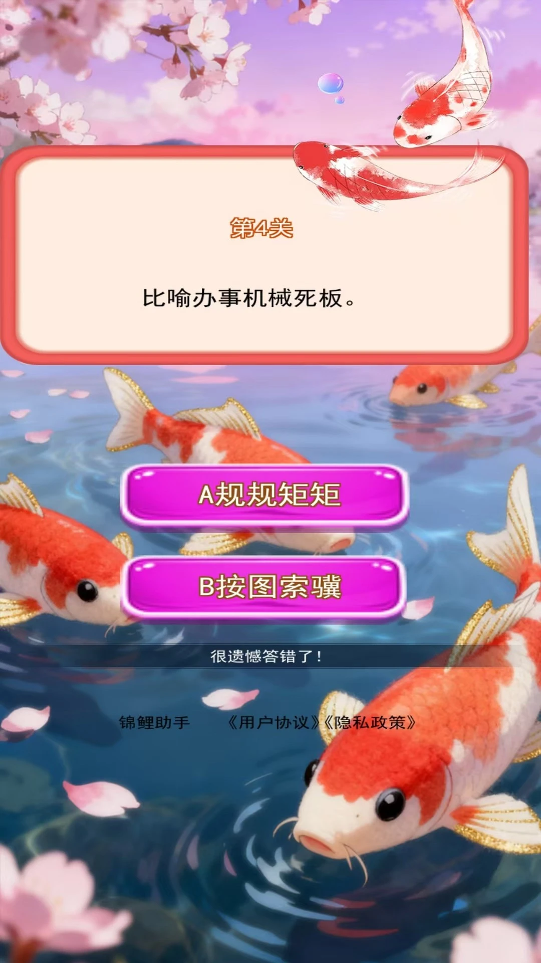 锦鲤助手