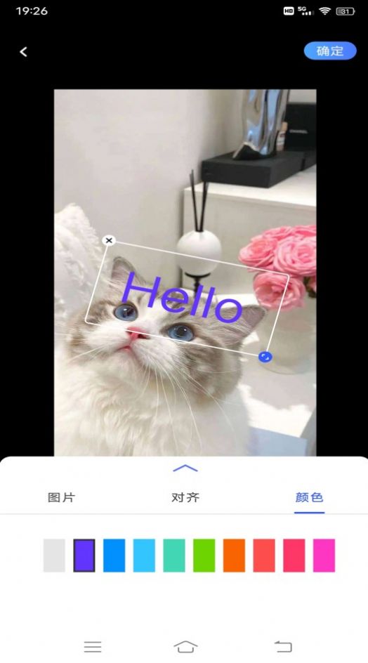 小猪翻译视频 小猪翻译视频