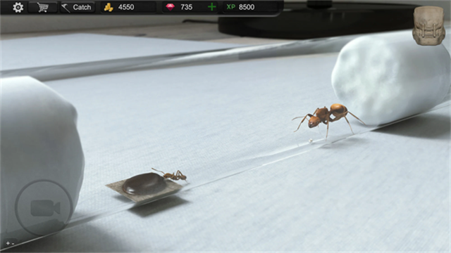 Ant Sim Tycoon安装器