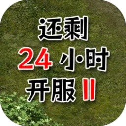 红豆相思