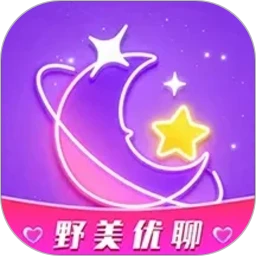 野美优聊