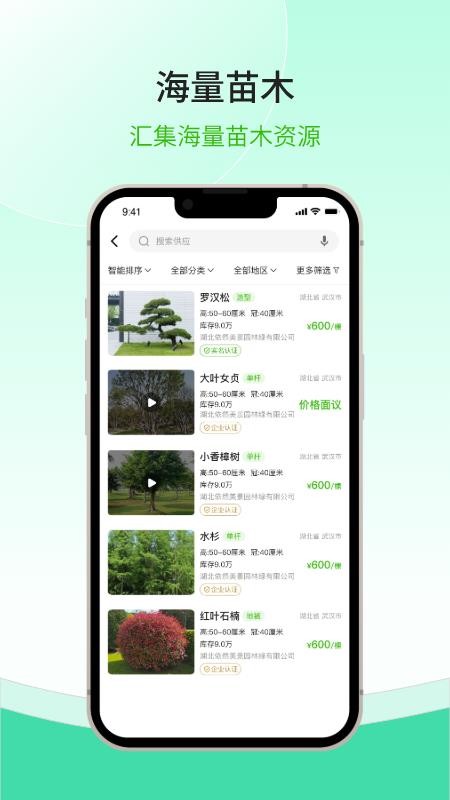 购苗木 购苗木