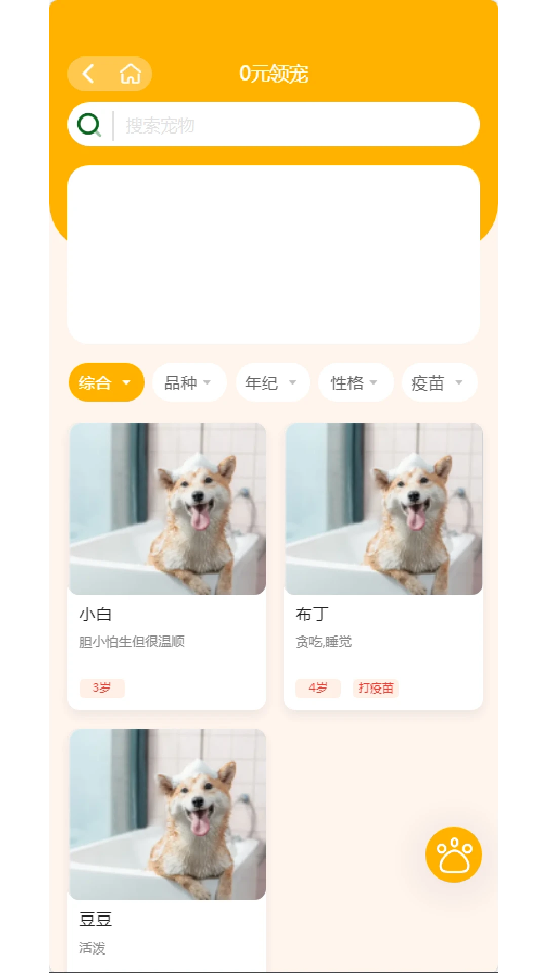 四脚派对 四脚派对