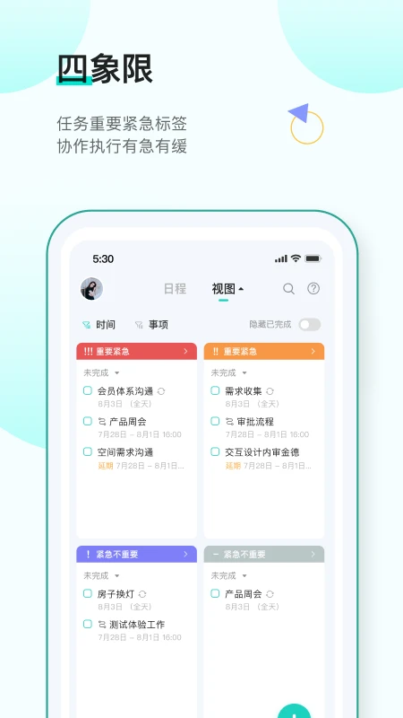 飞项
