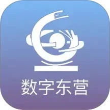 数字东营