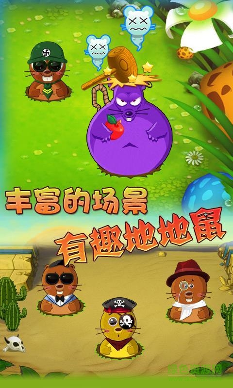 天天打地鼠 天天打地鼠