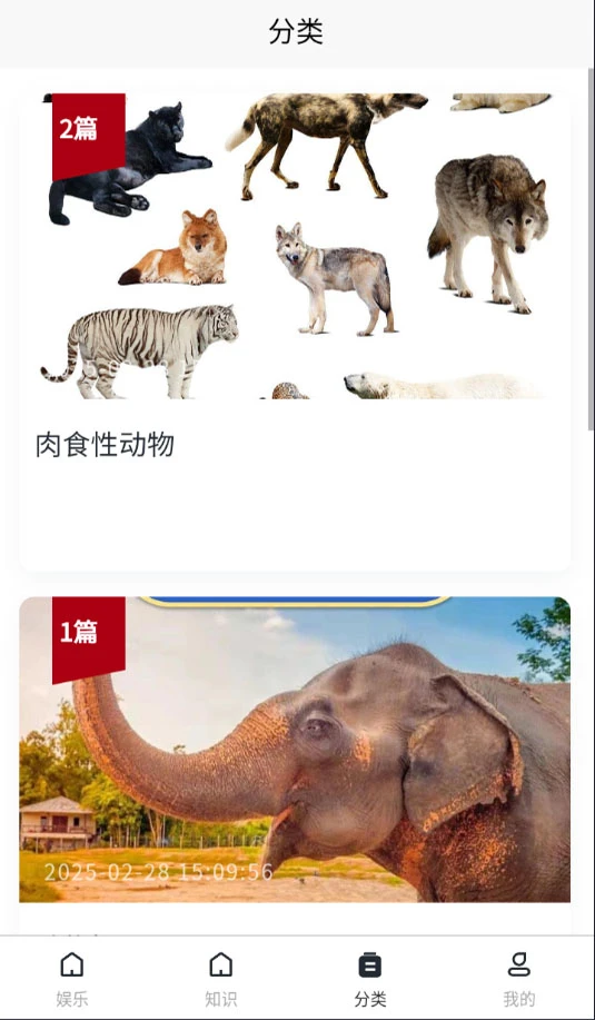 动物合成王