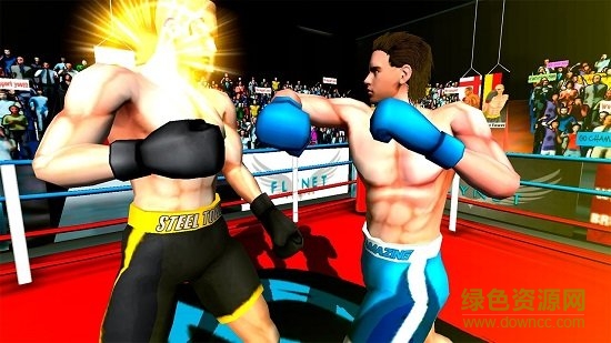 3d拳王争霸赛中文版2019(fx3)