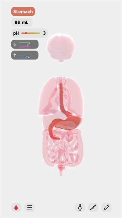 生命人体模拟器（LIFE）
