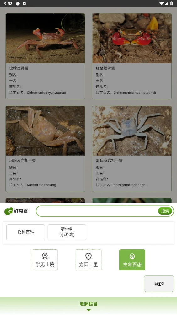好易查
