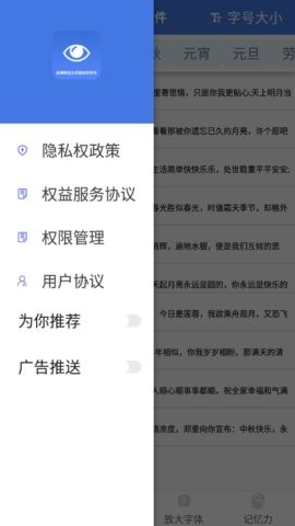 大字版助手