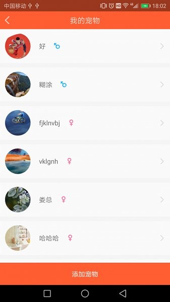 宠物保姆
