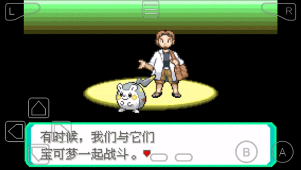 口袋妖怪：究极绿宝石5