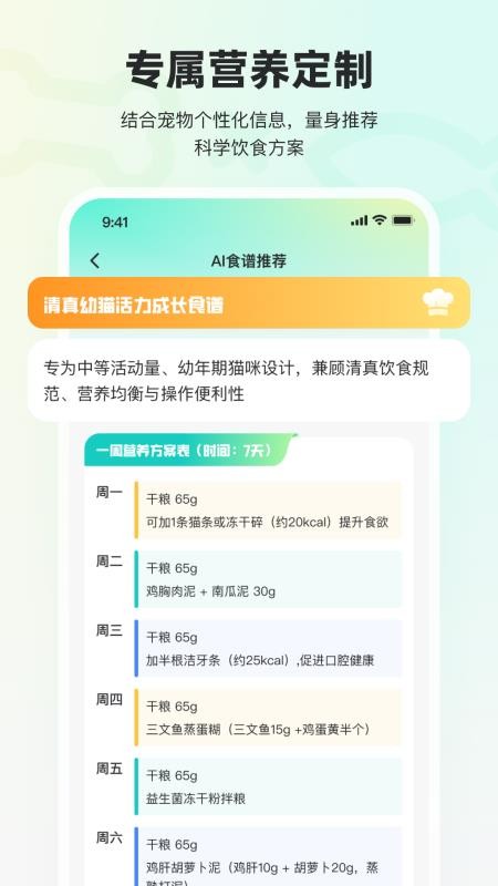 宠拍档