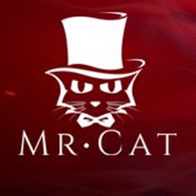 猫先生全站app
