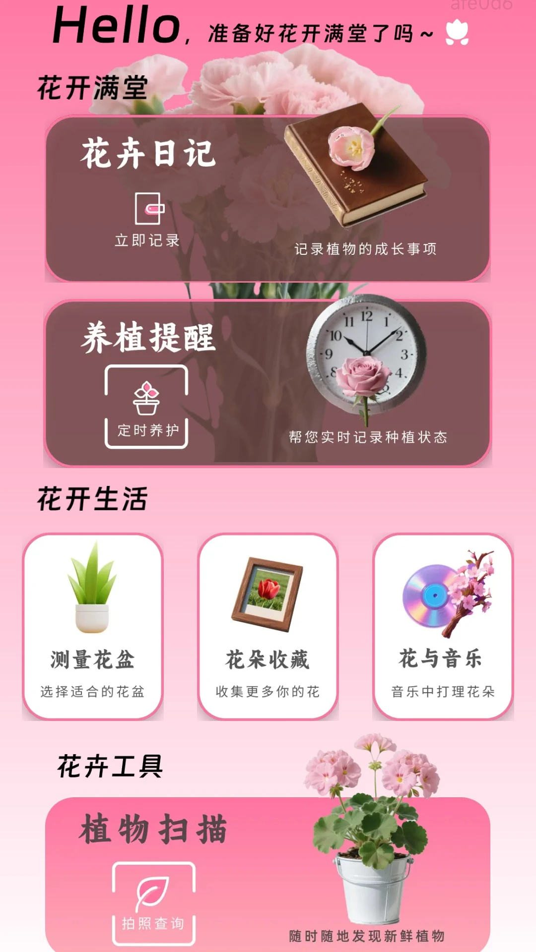 花开满堂