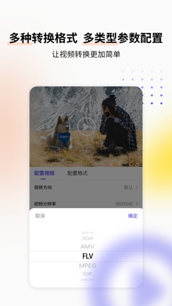 视频格式转换