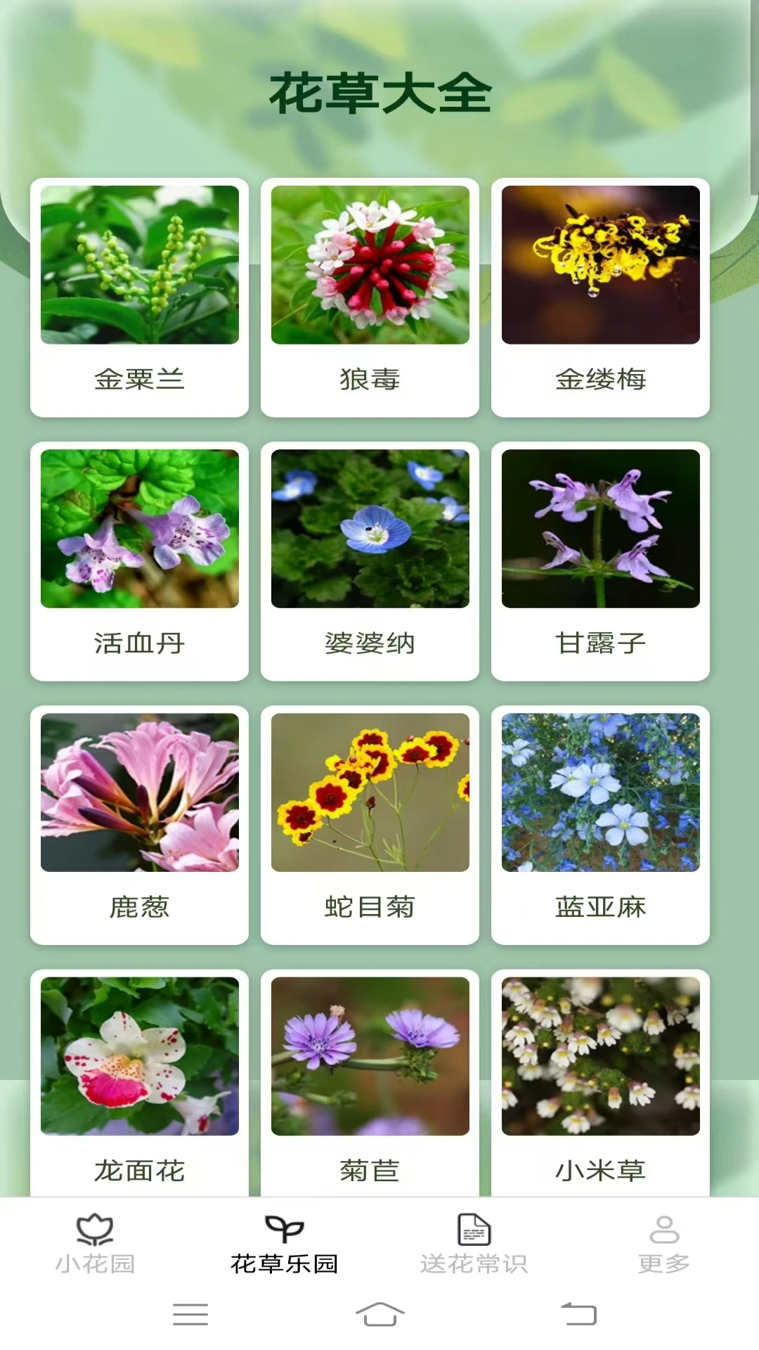 花草乐园