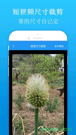 去水印吧 去水印吧