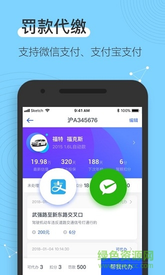 车主查违章