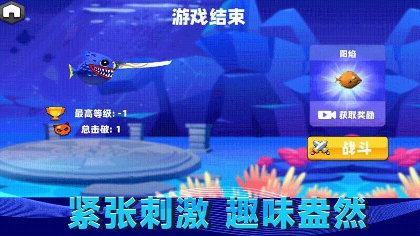 水上猫咪 水上猫咪