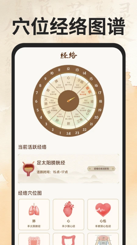 穴位经络图谱