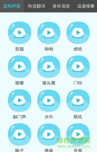 狗狗助手