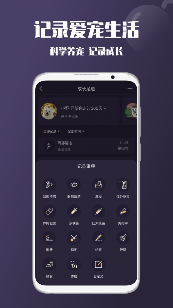 啵宠
