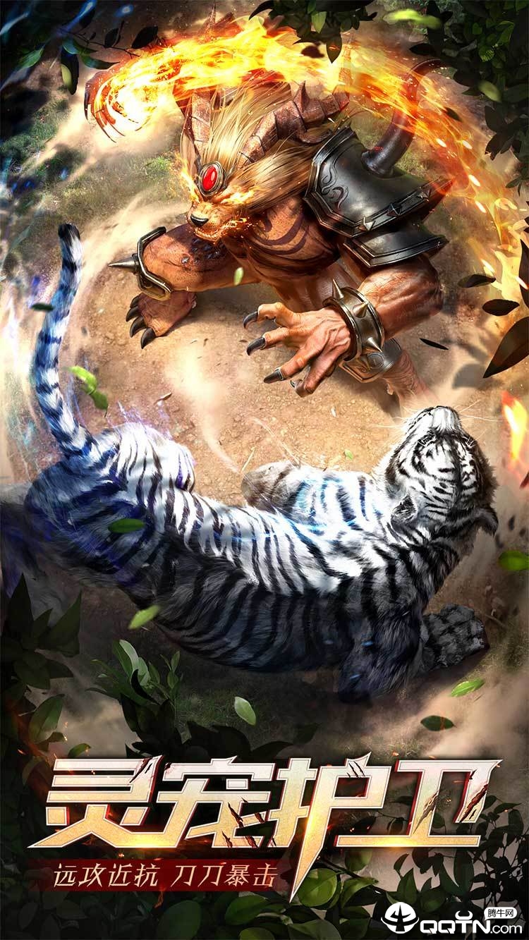 白虎单职业