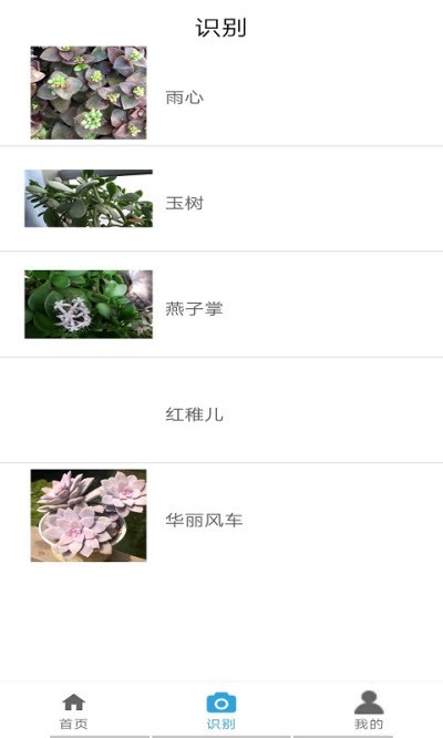 MUJI无印良品