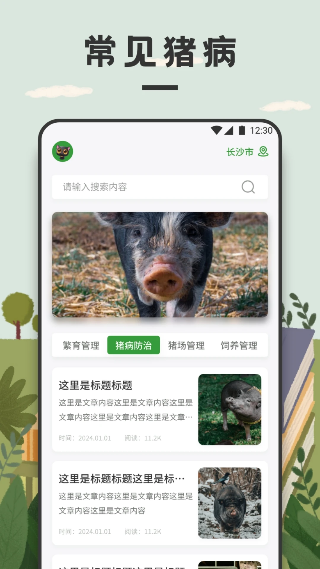 全民养猪场